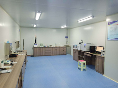 口罩环氧乙烷残留量色谱分析仪-现场调试